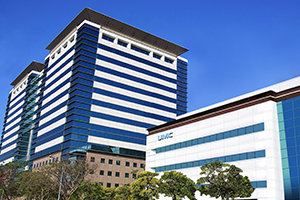 半導體晶圓代工業界的領導者